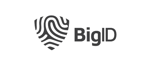 bigid-logo-500px